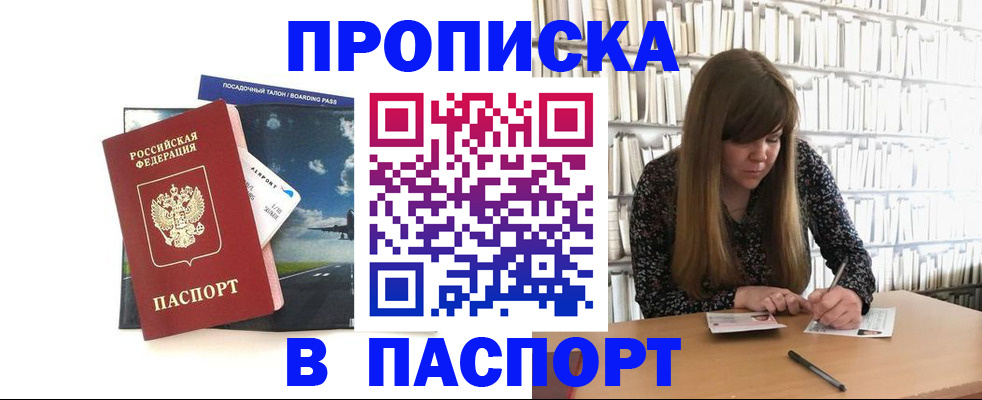 прописка поиск в Камышине