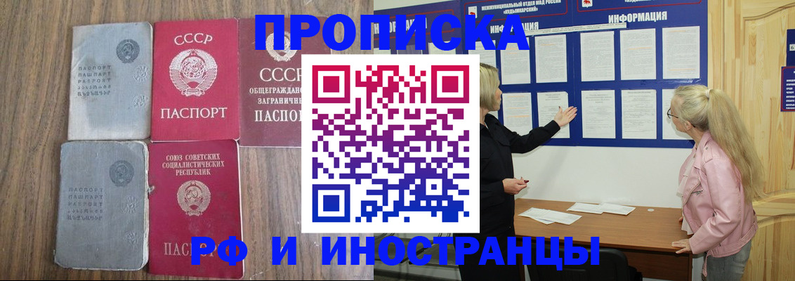 прописка для школы в Камышине